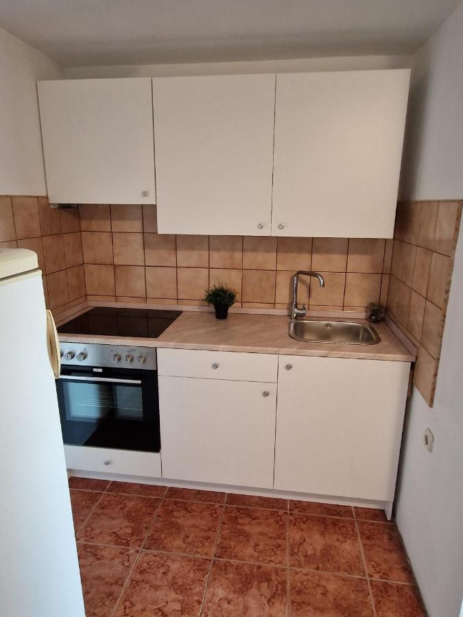 Apartment Misic 利缇纳 外观 照片