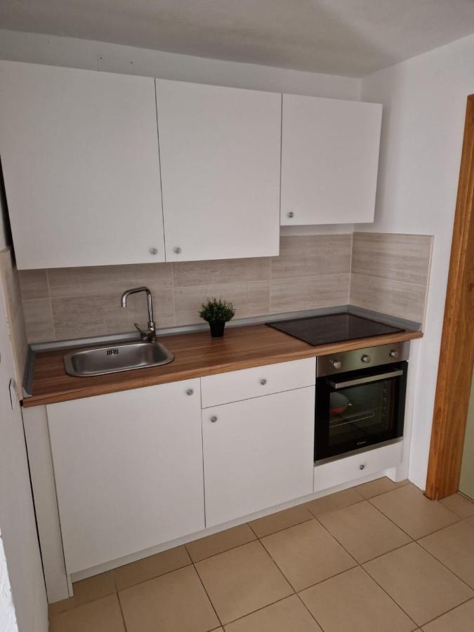 Apartment Misic 利缇纳 外观 照片