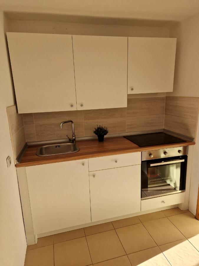 Apartment Misic 利缇纳 外观 照片