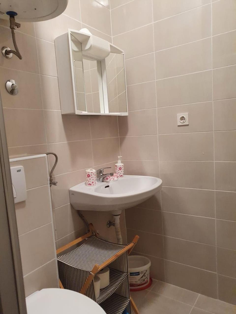 Apartment Misic 利缇纳 外观 照片